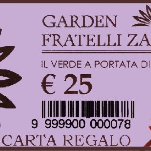 Carta regalo € 25 <br/> Gift Card Online