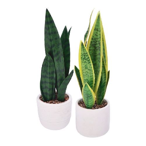 83543 VASO PIANTA H40CM SANSEVERIA ARTIFICIALE ASS. <br/> Fiori Finti e Piante Finte
