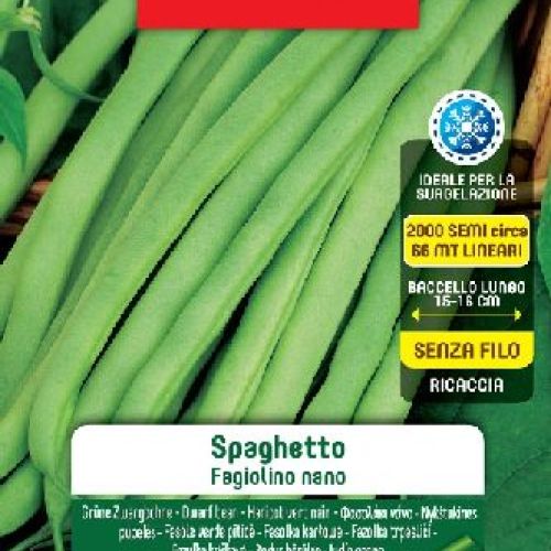 Blumen legumi maxi busta Fagiolini nani spaghetto <br/> Semi da Orto