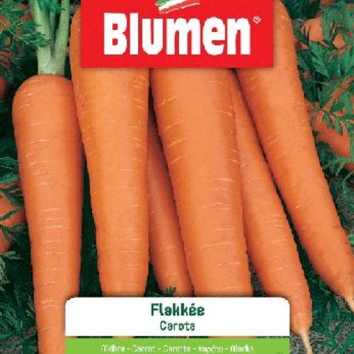 BLUMEN BUSTA SEMI CAROTA FLAKKÈ <br/> Semi da Orto