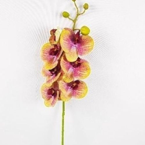 SZ02GR Phaleno 75cm GR <br/> Fiori Finti e Piante Finte