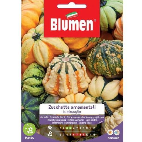 Blumen giardino fiori Zucchetta ornamentale <br/> Semi da Fiore