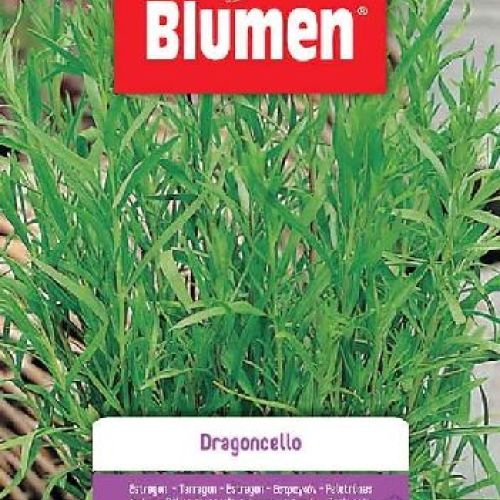 Blumen busta semi Dragoncello <br/> Semi da Orto