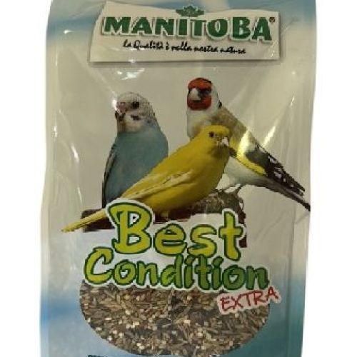 BEST CONDITION EXTRA 400 GR MANGIME RICOSTITUENTE VOLATILI <br/> Mangime Canarini
