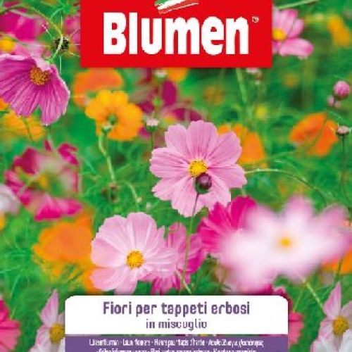Blumen giardino fiori Mix tappeti erbosi <br/> Semi da Fiore