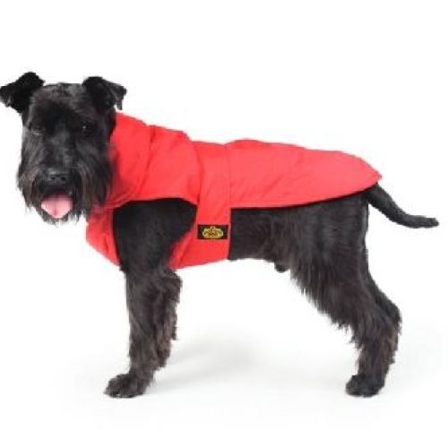 CAPPOTTO IMP. FODERATO PILE TG. 36 ROSSO <br/> Guinzagli, Collari e Pettorine