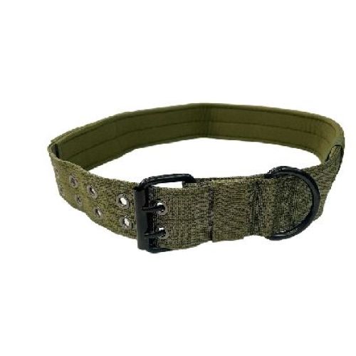 COLLARE NYLON TAGLIA XL COLLO CM. 53-60 VERDONE <br/> Guinzagli, Collari e Pettorine