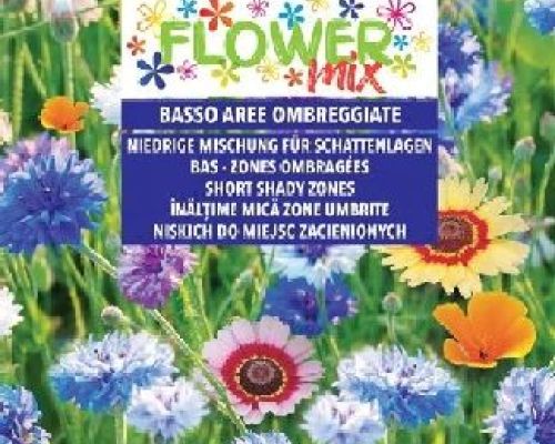 Blumen Flower Mix Basso aree ombreggiate <br/> Semi da Fiore