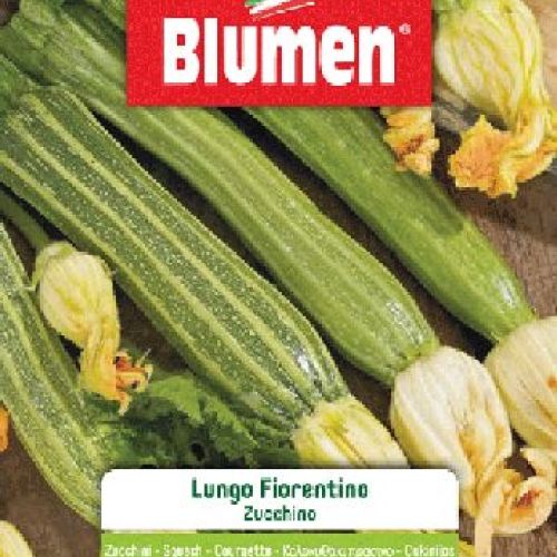 BLUMEN BUSTA SEMI ZUCCHINO LUNGO FIORENTINO <br/> Semi da Orto