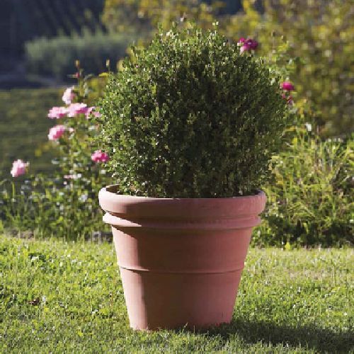 Vaso Liscio Doppio Bordo cm 51 h 45 Toscano <br/> Vasi e Accessori in Terracotta