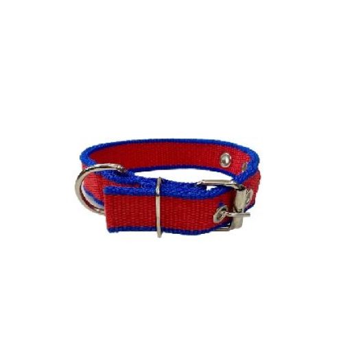 COLLARE NYLON TAGLIA XS COLLO CM. 21-28 BLU E ROSSO <br/> Guinzagli, Collari e Pettorine