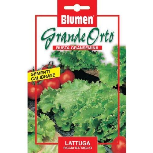 BLUMEN MAXI ORTO LATTUGA RICCIA DA TAGLIO <br/> Semi da Orto