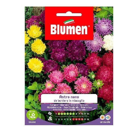 Blumen giardino fiori Astro nano bordura in mix <br/> Semi da Fiore
