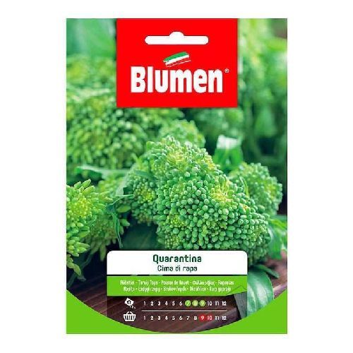 BLUMEN BUSTA SEMI CIMA DI RAPA QUARANTINA <br/> Semi da Orto