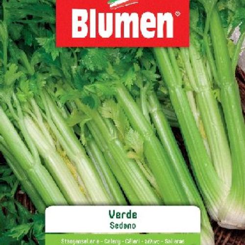 BLUMEN BUSTA SEMI SEDANO VERDE <br/> Semi da Orto