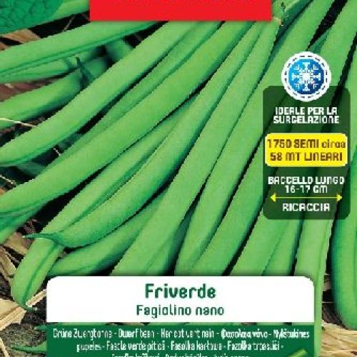 BLUMEN LEGUMI MAXI BUSTA FAGIOLINI NANI FRIVERDE <br/> Semi da Orto