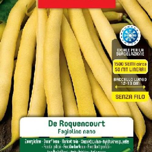 Blumen legumi maxi busta Fagiolini nani Rocquencourt <br/> Semi da Orto