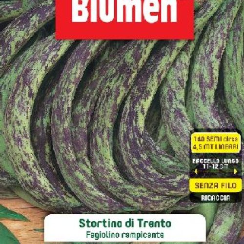 Blumen legumi maxi busta Fagiolini ramp Stortino di Trento <br/> Semi da Orto