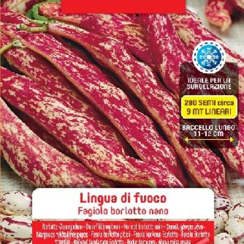 BLUMEN LEGUMI MAXI BUSTA FAGIOLI BORLOTTI RAMP. LINGUA DI FUOCO <br/> Semi da Orto