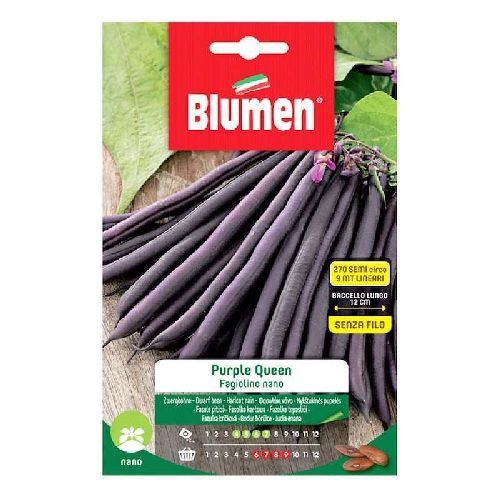 BLUMEN LEGUMI MAXI BUSTA FAGIOLINI NANI VIOLETTI PURPLE QUEEN <br/> Semi da Orto
