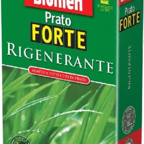BLUMEN PRATO RIGENERANTE 1 KG <br/> Semi per Prato