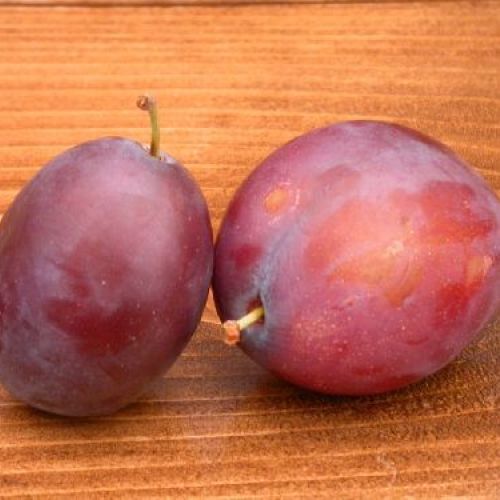 PRUNUS DOMESTICA BURMOSA V24 SUSINO <br/> Piante e Alberi da Frutto