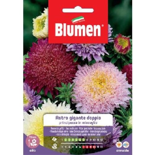 Blumen giardino fiori Astro principessa doppio <br/> Semi da Fiore