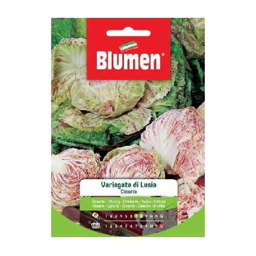 BLUMEN BUSTA SEMI CICORIA VARIEGATA DI LUSIA <br/> Semi da Orto