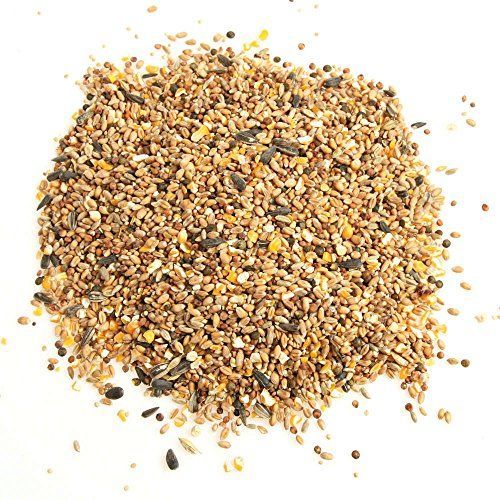 mix per uccelli da giardino 5kg <br/> Mangime e Mangiatoie Uccelli Selvatici