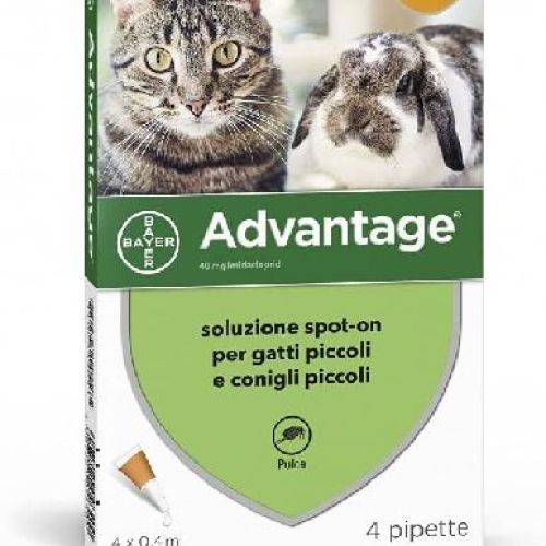 Advantage gatti/conigli piccoli 4pz <br/> Antiparassitario Gatto
