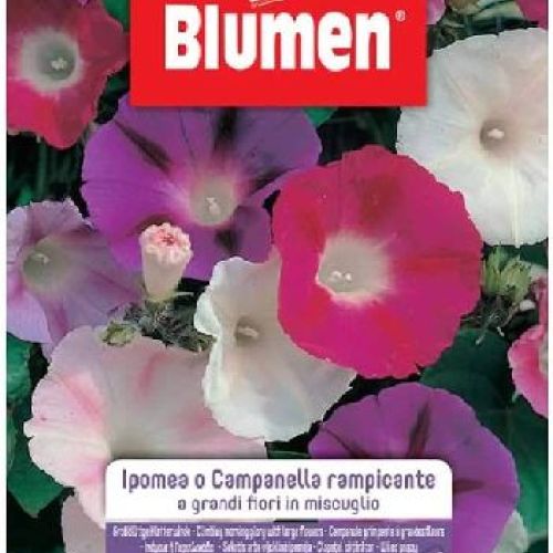 BLUMEN GIARDINO FIORI IPOMEA CAMPANELLA RAMPICANTE MIX <br/> Semi da Fiore