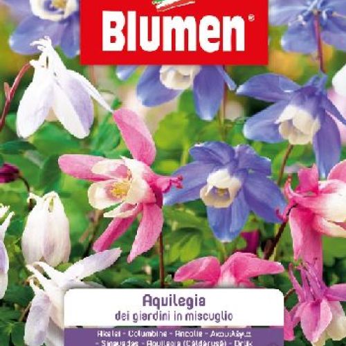 BLUMEN GIARDINO FIORI AQUILEGIA DEI GIARDINI DOPPIA MIX <br/> Semi da Fiore