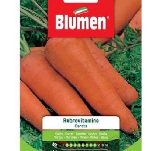 Blumen busta semi Carota Rubrovitamina <br/> Semi da Orto