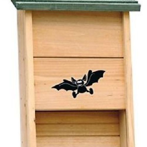 Casetta per pipistrelli <br/> Mangime e Mangiatoie Uccelli Selvatici