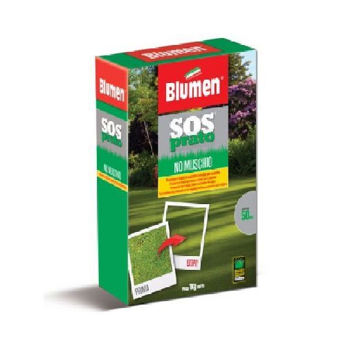 BLUMEN SOS PRATO - NO MUSCHIO 1 KG <br/> Semi per Prato