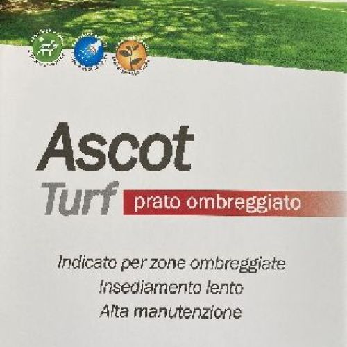 TAPPETO ASCOT 1 KG PRATO OMBREGGIATO <br/> Semi per Prato