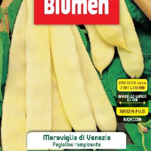 BLUMEN LEGUMI MAXI BUSTA FAGIOLINI RAMPICANTI MERAVIGLIA VENEZIA <br/> Semi da Orto
