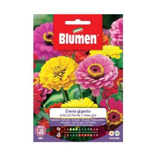 BLUMEN GIARDINO FIORI ZINNIA GIGANTE CALIFORNIA MIX <br/> Semi da Fiore