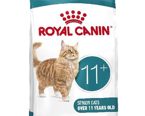 Royal Canin Cat Ageing 11+ 2 kg <br/> Cibo Secco per Gatti