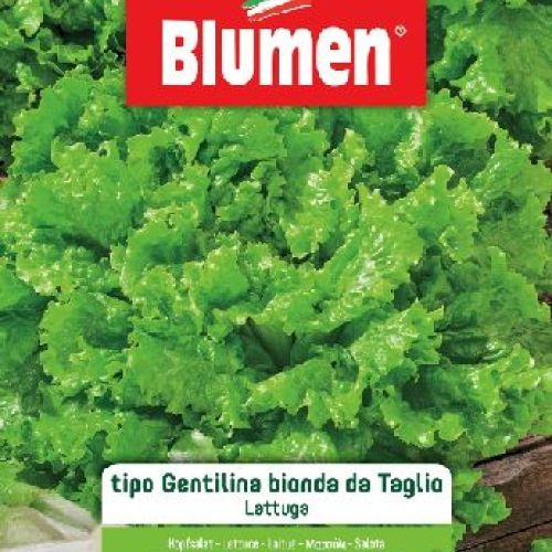 BLUMEN BUSTA SEMI LATTUGA GENT. BIONDA DA TAGLIO <br/> Semi da Orto