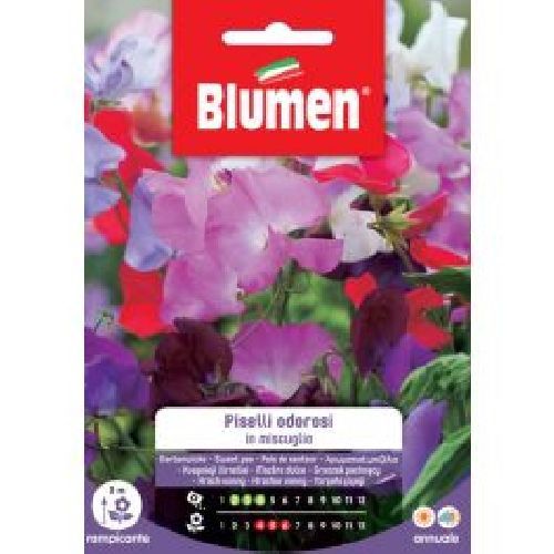 BLUMEN GIARDINO FIORI PISELLI ODOROSI MIX <br/> Semi da Fiore