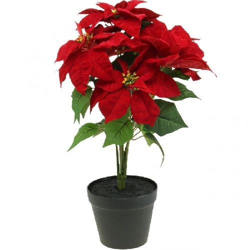 67241 Vaso con stella di Natale artificiale diam.14xh53cm <br/> Fiori Finti e Piante Finte