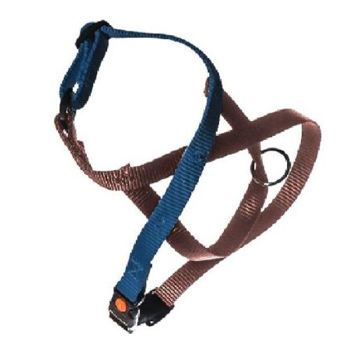 Basic Link Blu e Marrone tg. M <br/> Guinzagli, Collari e Pettorine
