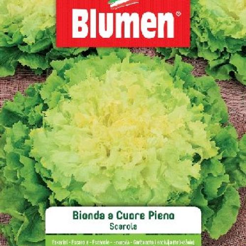 BLUMEN BUSTA SEMI SCAROLA BIONDA CUORE PIENO <br/> Semi da Orto