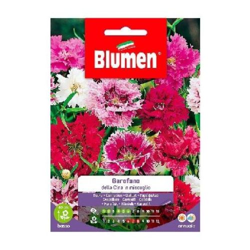 Blumen giardino fiori Garofano della Cina in mix <br/> Semi da Fiore