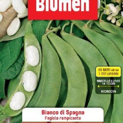 Blumen legumi maxi busta Fagioli borlotti ramp. Bianco di Spagna <br/> Semi da Orto