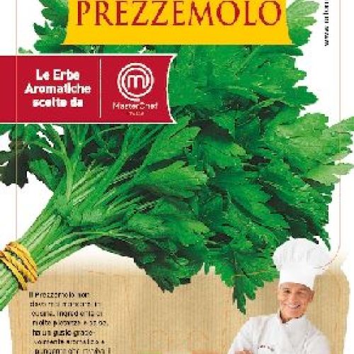 PREZZEMOLO GIGANTE V14 MASTERCHEF <br/> Piante Aromatiche