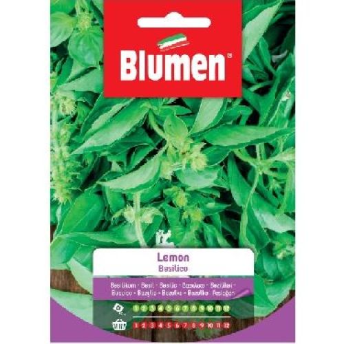 BLUMEN BUSTA SEMI BASILICO LEMON <br/> Semi da Orto