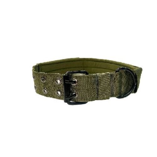 COLLARE NYLON TAGLIA M COLLO CM. 38-43 VERDONE <br/> Guinzagli, Collari e Pettorine