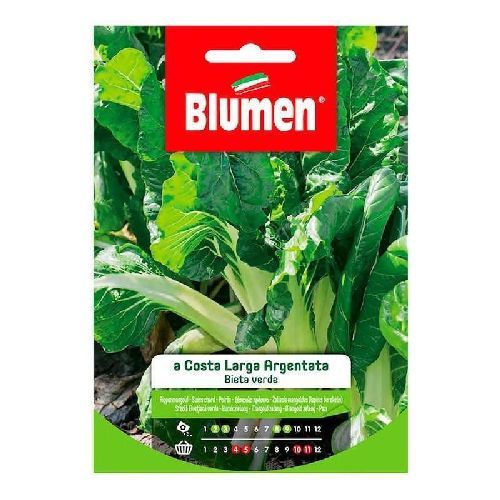 Blumen busta semi Bieta verde a costa argentata <br/> Semi da Orto